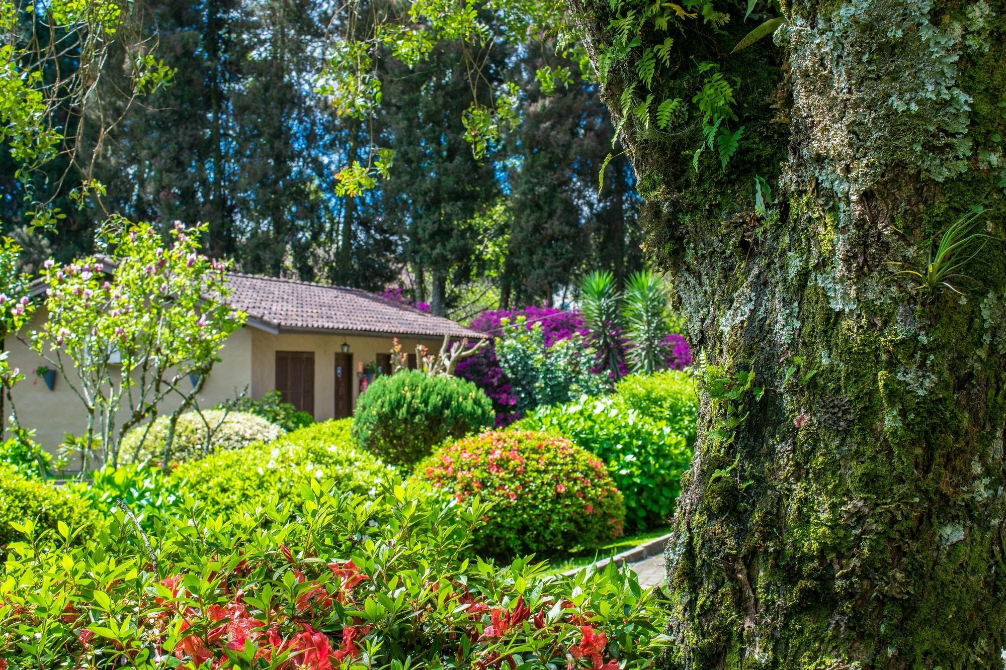 Hotel Fioreze Quero Quero Gramado Luaran gambar